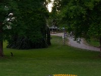 Schlossparkserenade 2023  Junge Philharmonie Rhein-Neckar : Angelbachtal, Schlossparkserenade